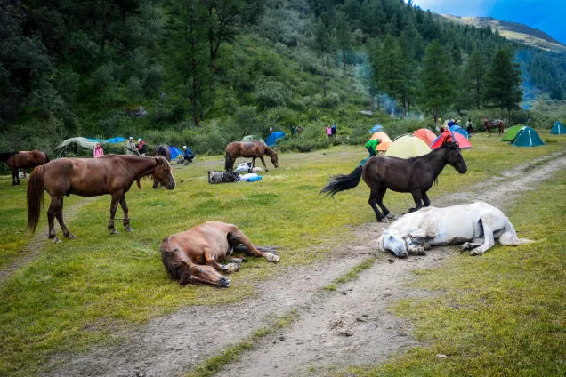 День по-о-олного отдыха