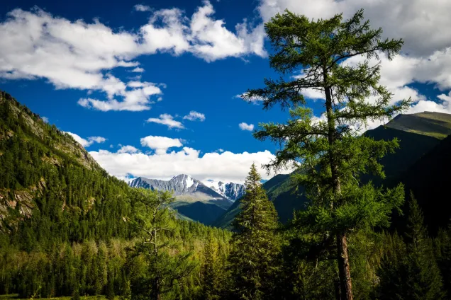 Переход до Тюнгура