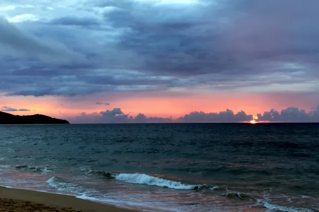 Возвращение домой