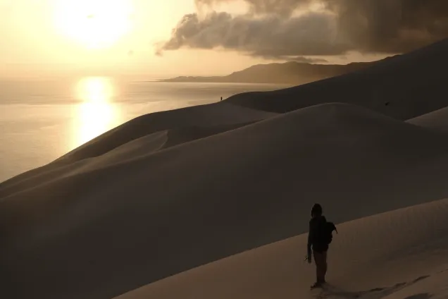 Прощаемся с Сокотрой