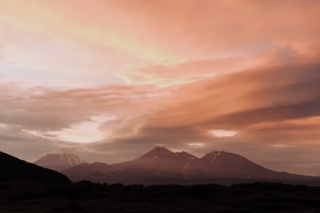 День отлета 