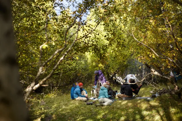 Днёвка и радиалка на ледник Адиш