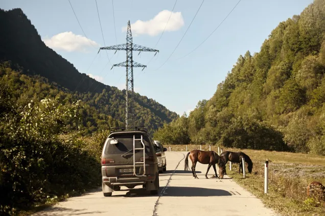 Заключительный день