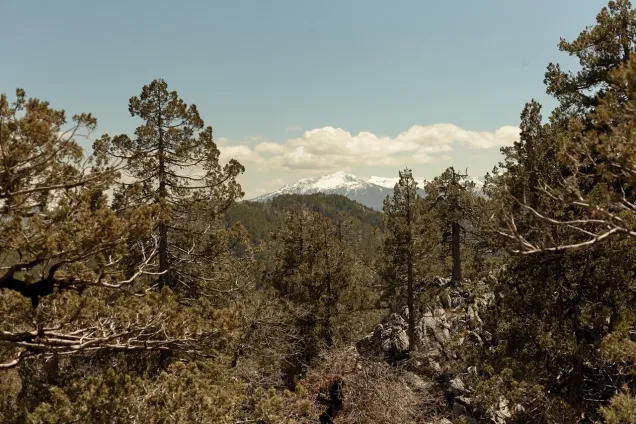 Сютчулер. Хребет Сютчулер