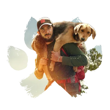 Александр Зырянов