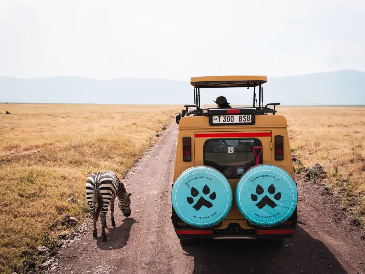 2-ух дневное Сафари в нац. парке Тарангир и в кратере Нгоронгоро в Танзании